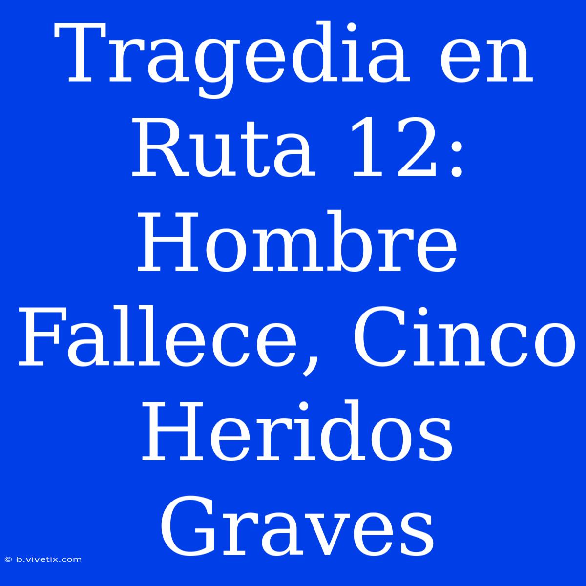 Tragedia En Ruta 12: Hombre Fallece, Cinco Heridos Graves