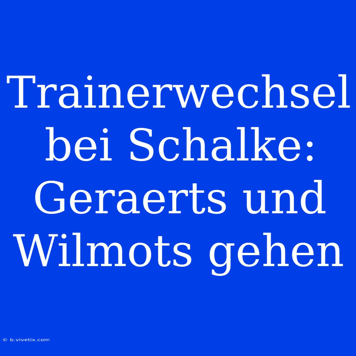 Trainerwechsel Bei Schalke: Geraerts Und Wilmots Gehen 