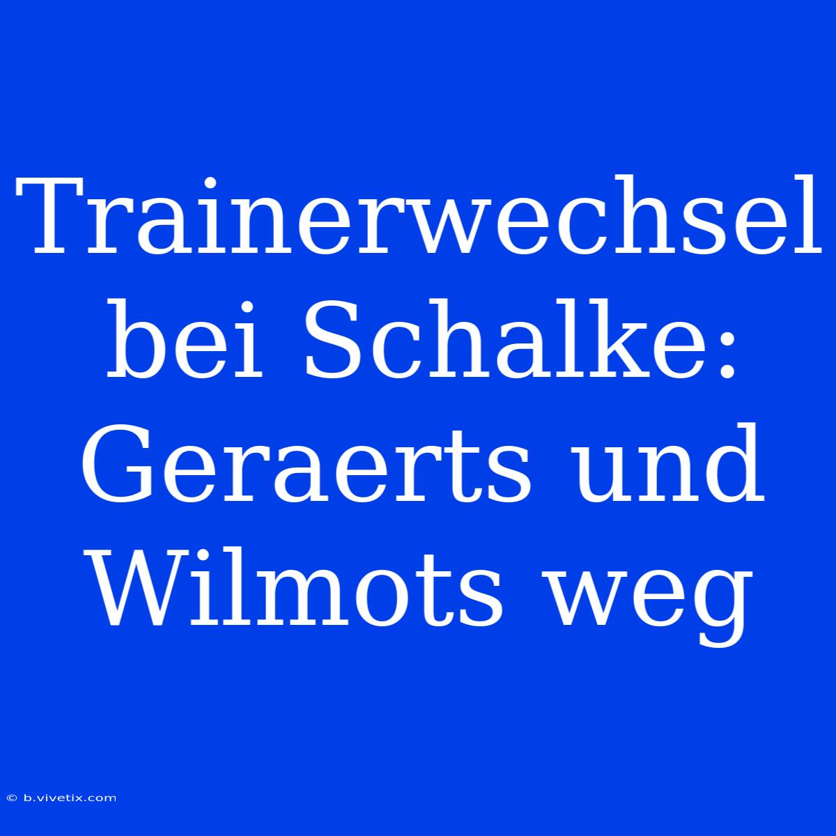 Trainerwechsel Bei Schalke: Geraerts Und Wilmots Weg