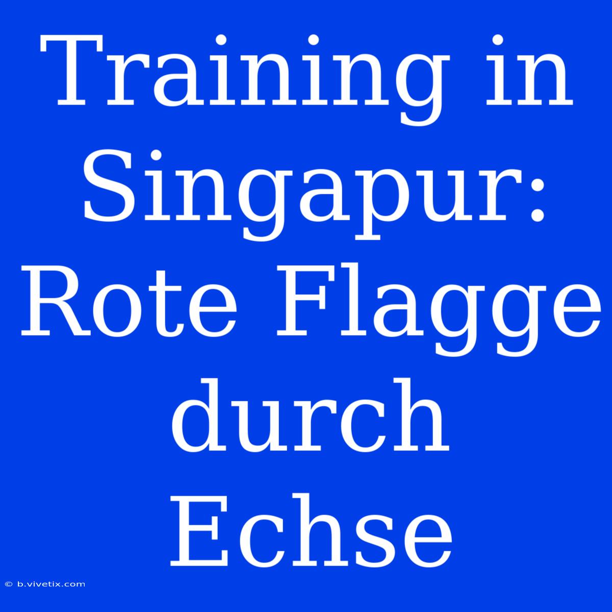 Training In Singapur: Rote Flagge Durch Echse