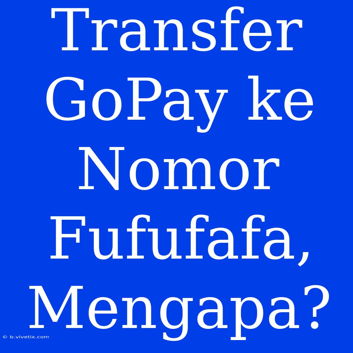 Transfer GoPay Ke Nomor Fufufafa, Mengapa?