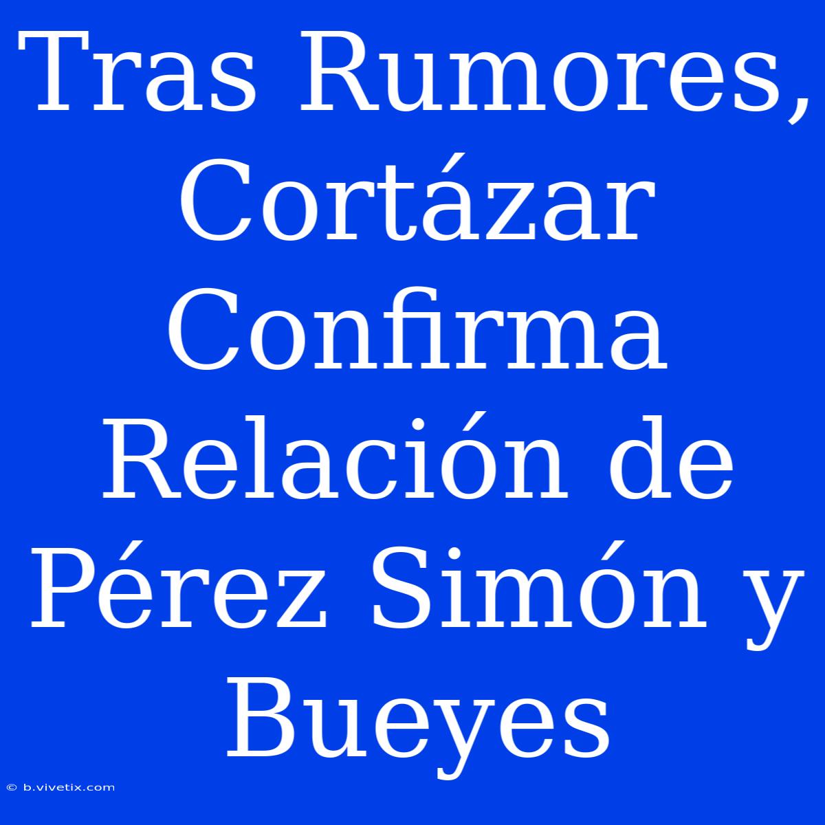 Tras Rumores, Cortázar Confirma Relación De Pérez Simón Y Bueyes