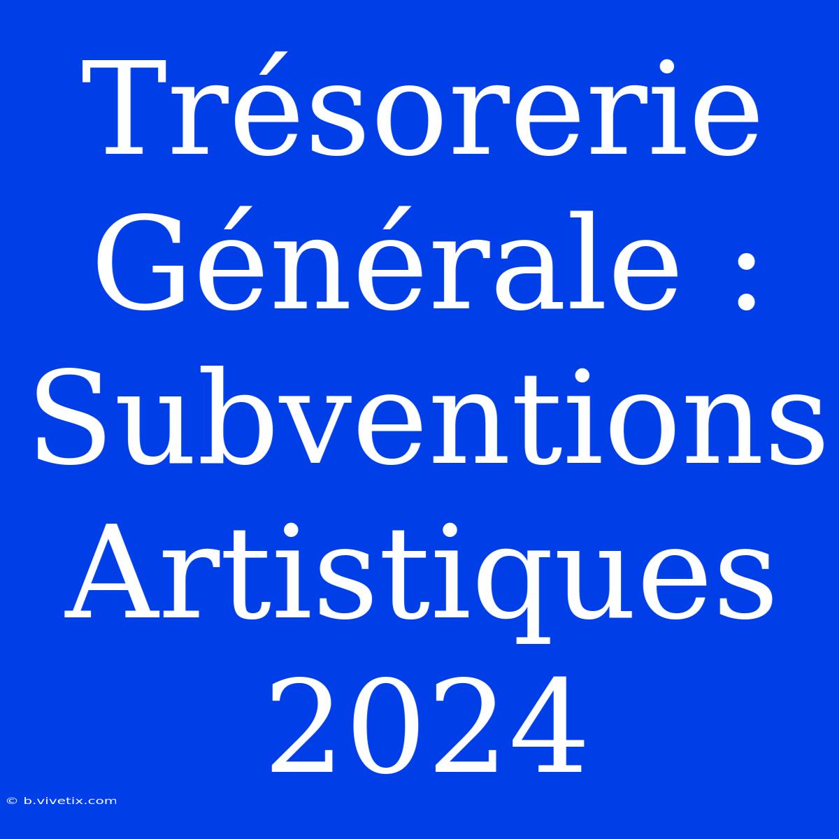 Trésorerie Générale : Subventions Artistiques 2024