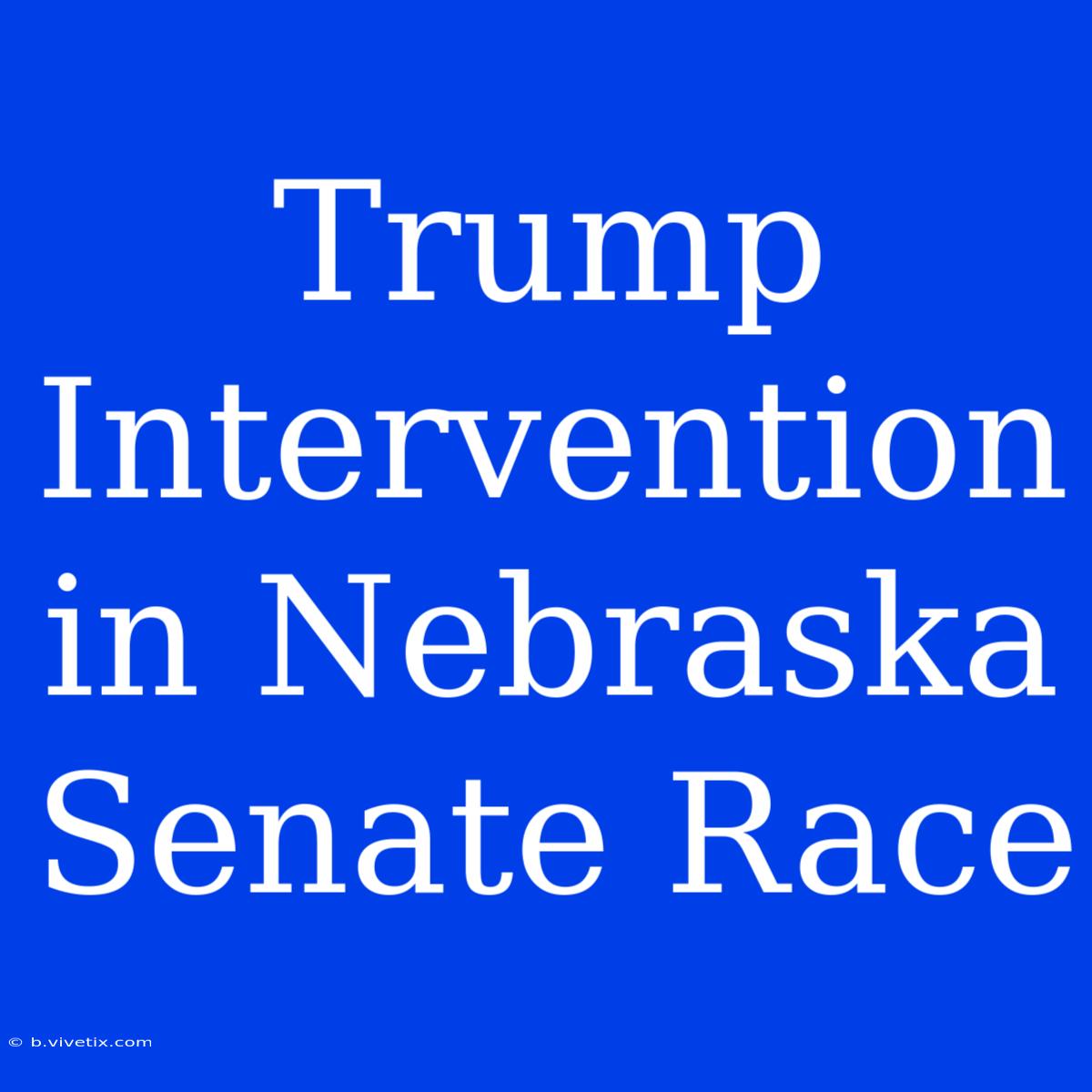 Trump Intervention In Nebraska Senate Race