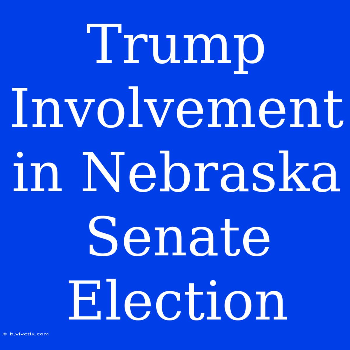 Trump Involvement In Nebraska Senate Election