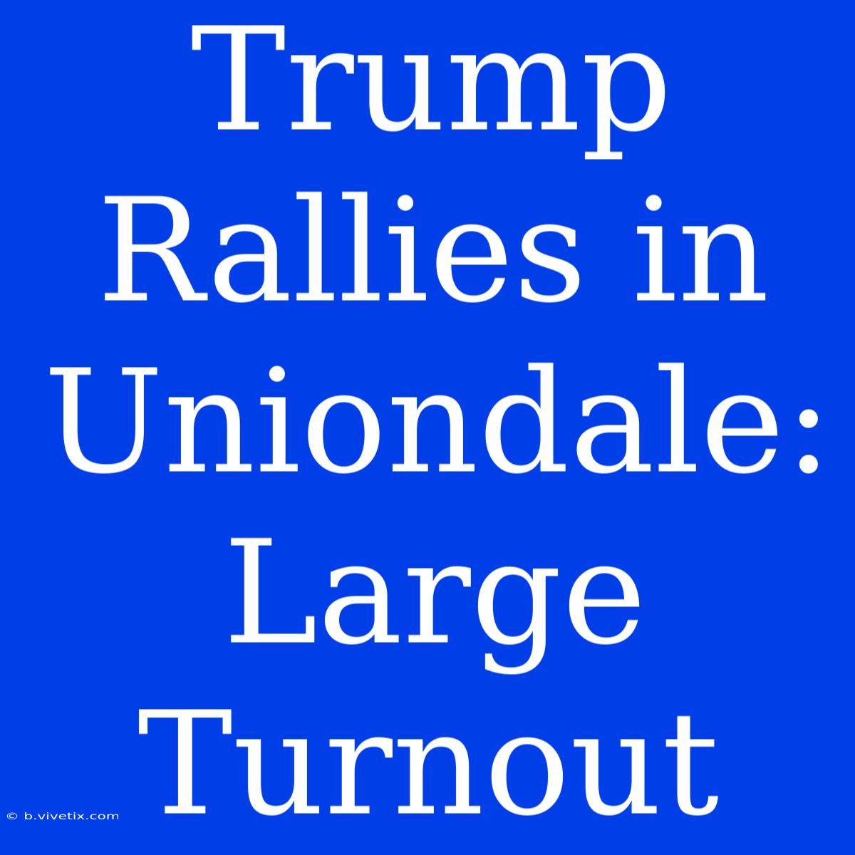 Trump Rallies In Uniondale: Large Turnout