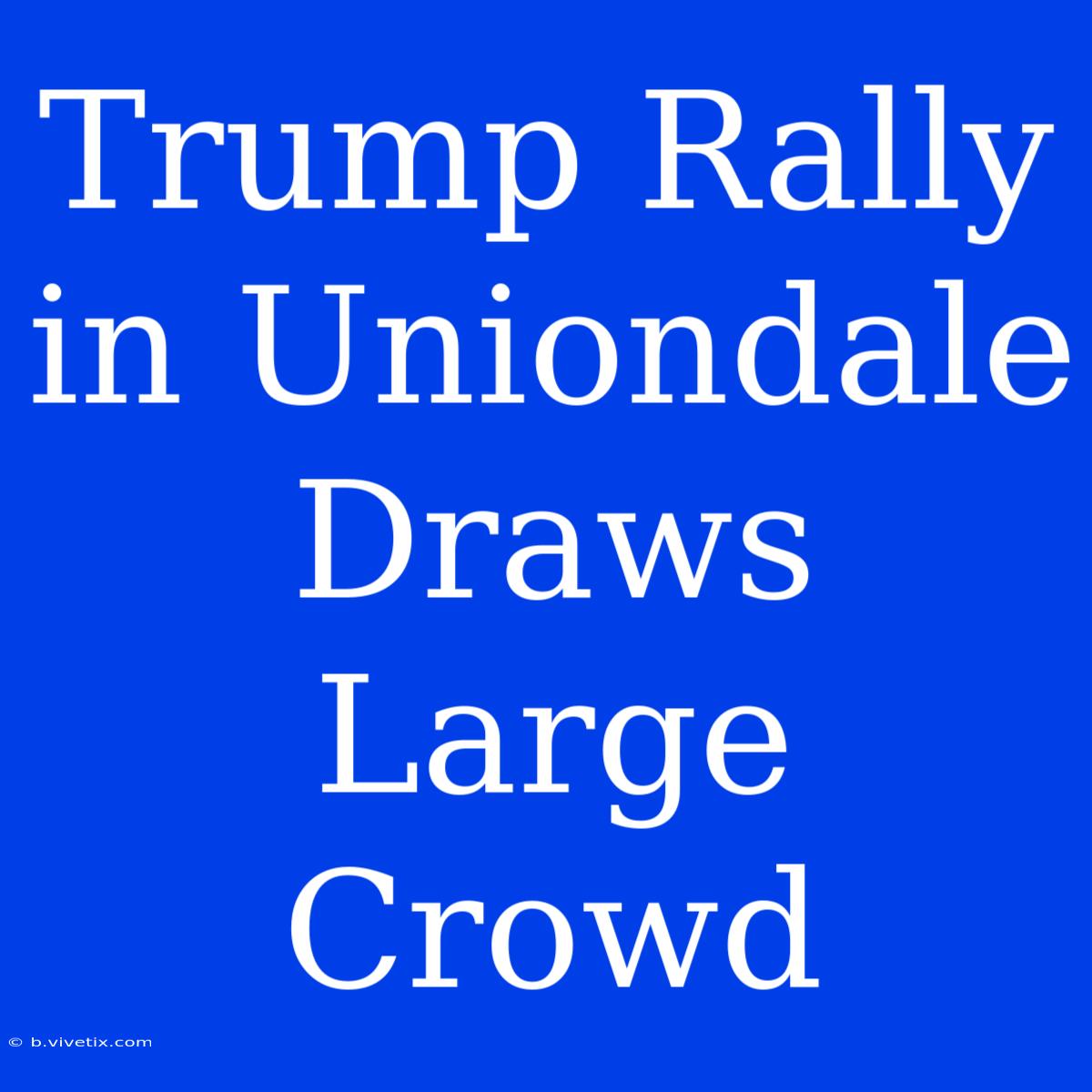 Trump Rally In Uniondale Draws Large Crowd