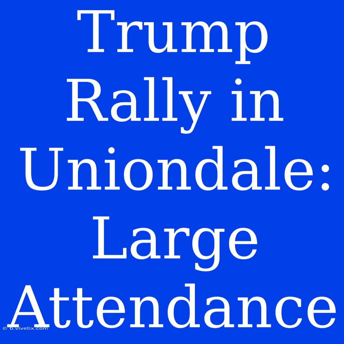 Trump Rally In Uniondale: Large Attendance