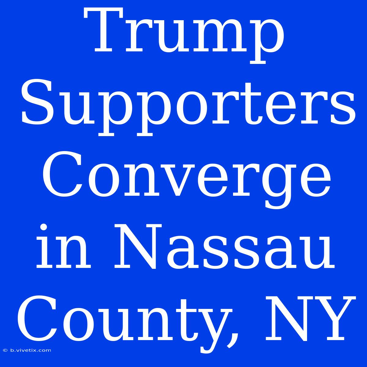 Trump Supporters Converge In Nassau County, NY