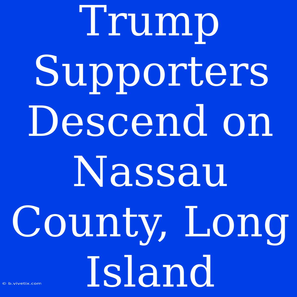 Trump Supporters Descend On Nassau County, Long Island