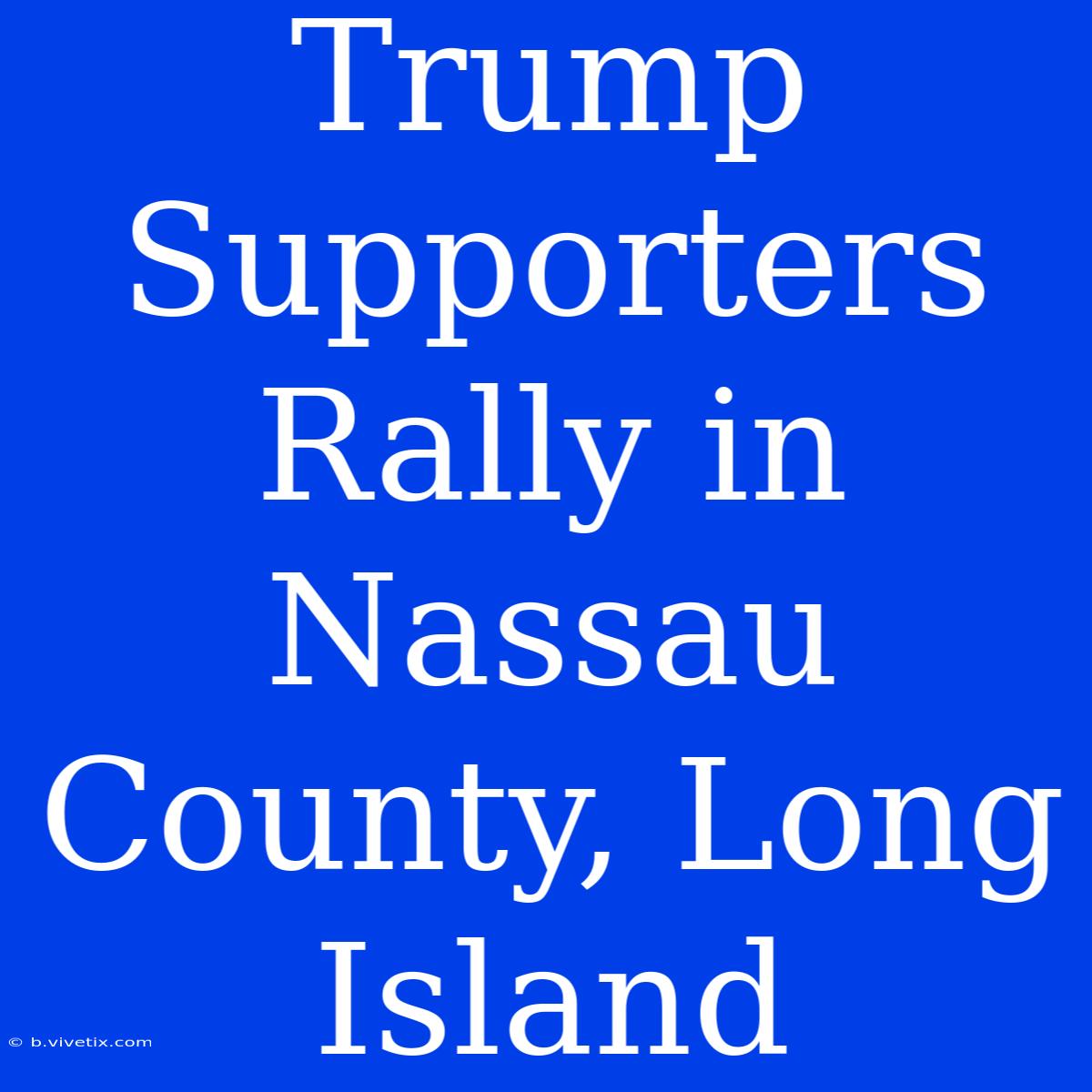 Trump Supporters Rally In Nassau County, Long Island