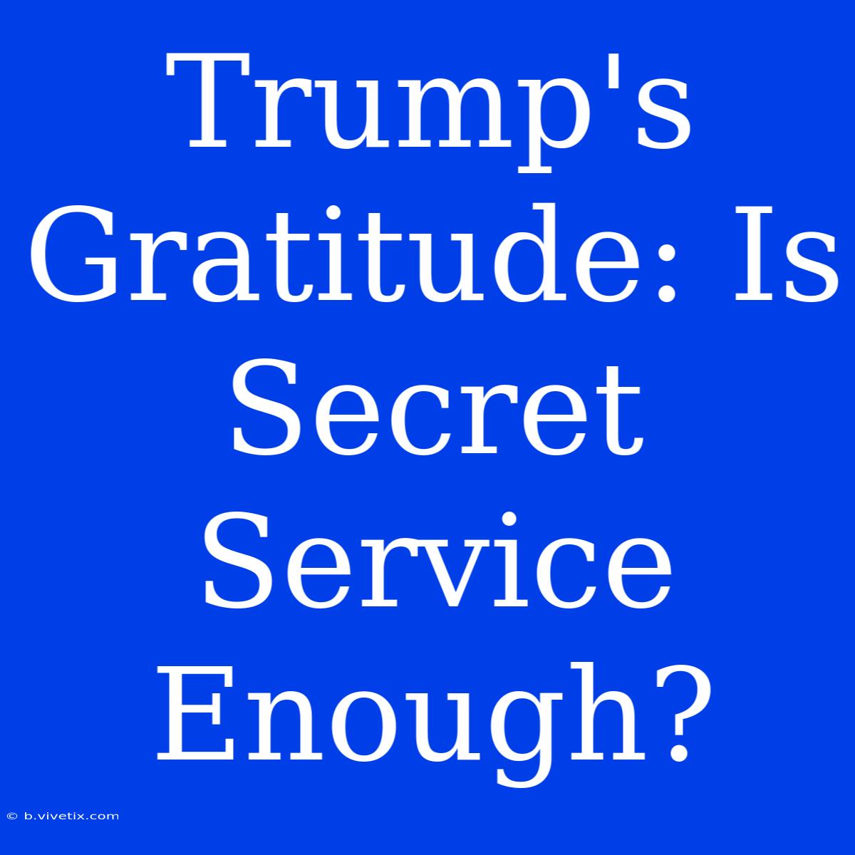 Trump's Gratitude: Is Secret Service Enough?