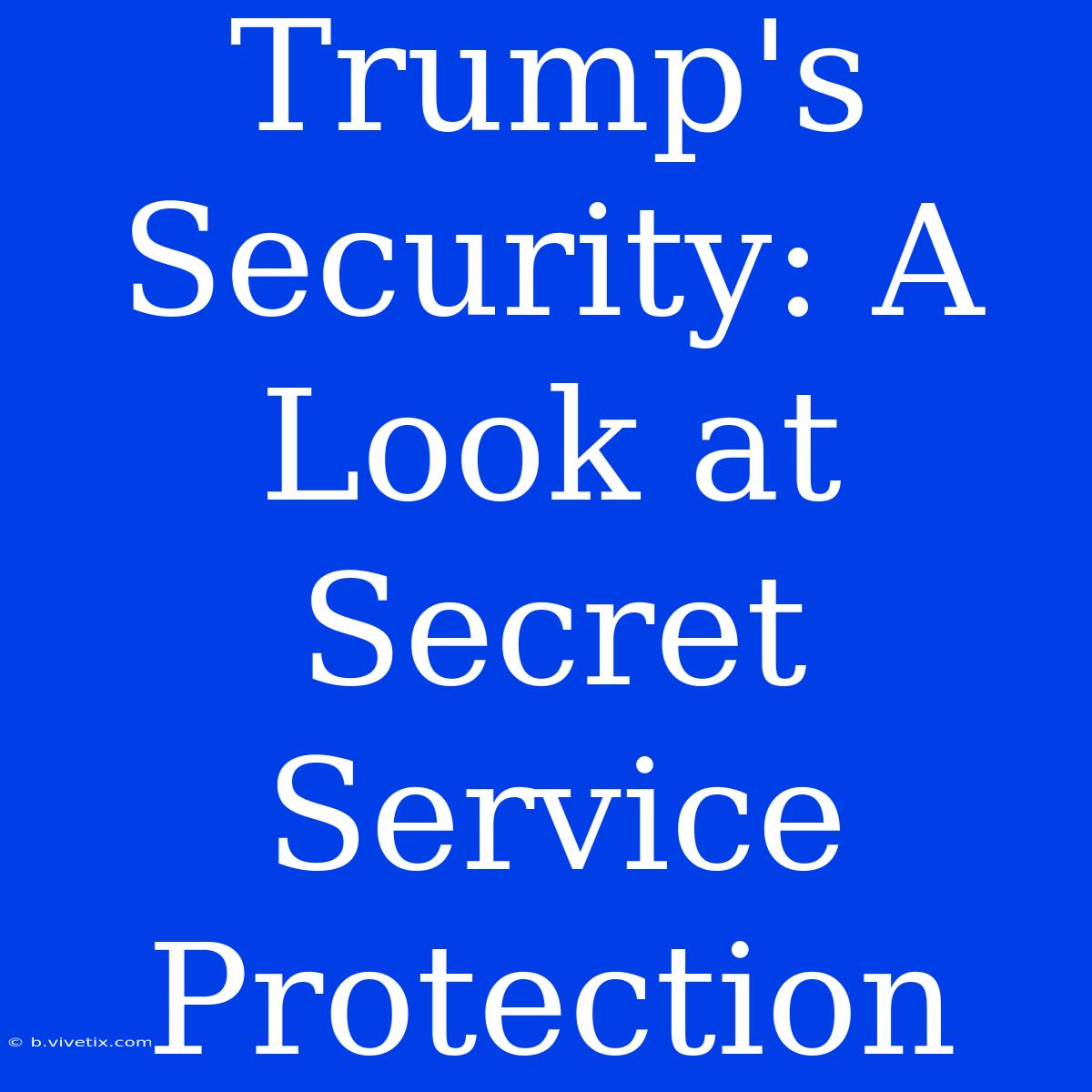 Trump's Security: A Look At Secret Service Protection