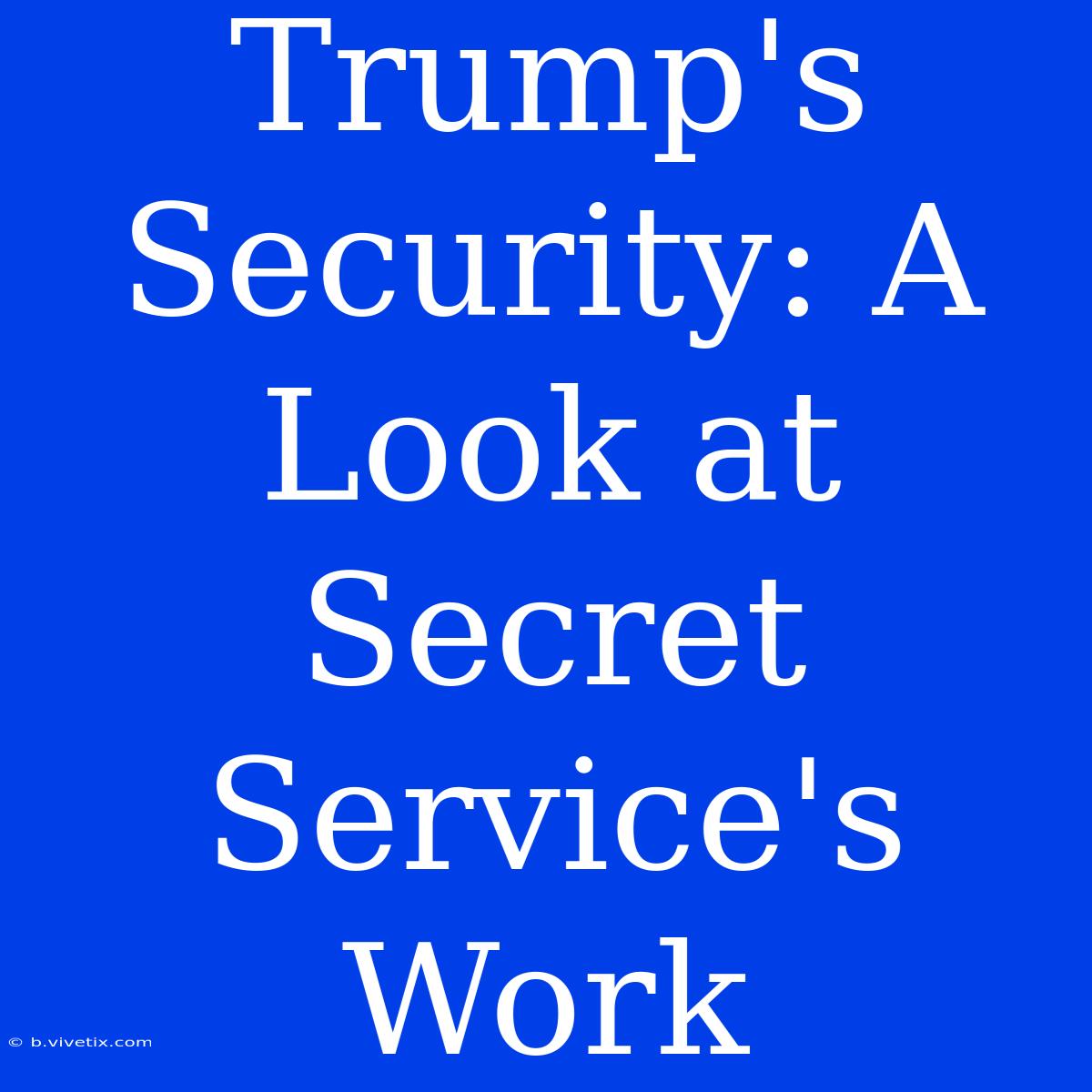 Trump's Security: A Look At Secret Service's Work