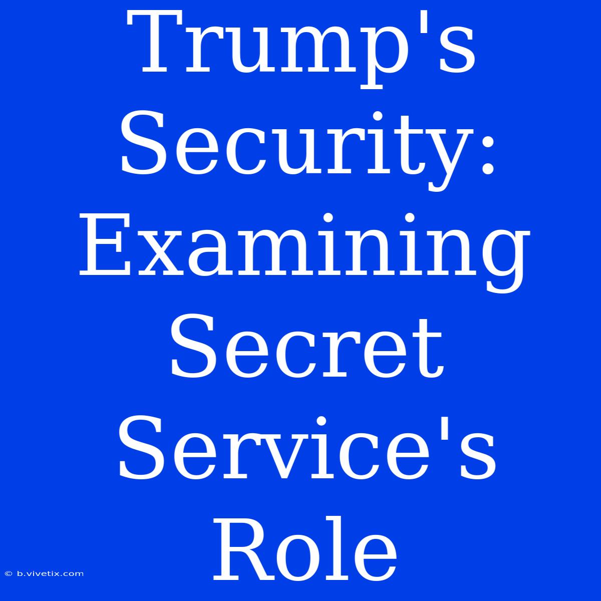 Trump's Security: Examining Secret Service's Role