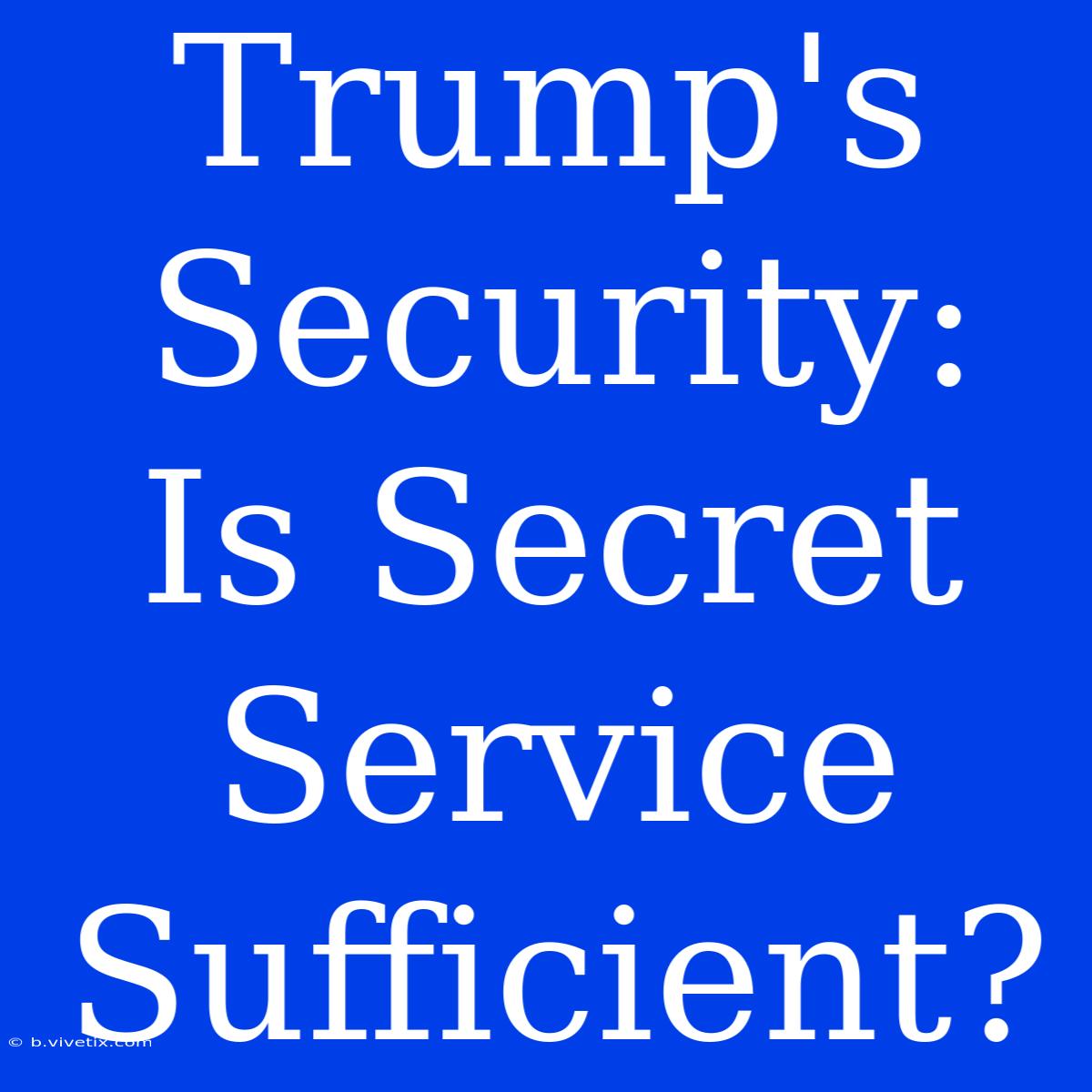 Trump's Security: Is Secret Service Sufficient?