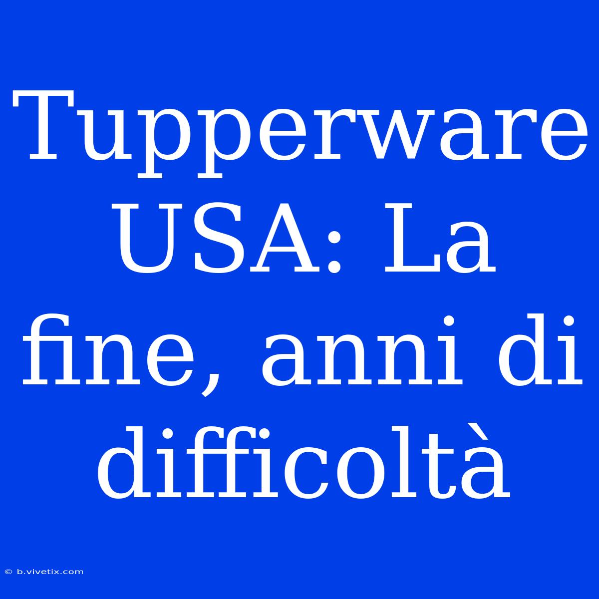 Tupperware USA: La Fine, Anni Di Difficoltà