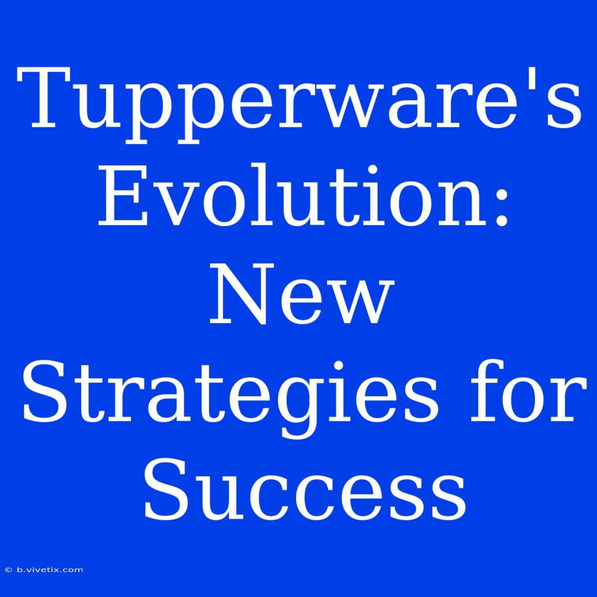 Tupperware's Evolution:  New Strategies For Success