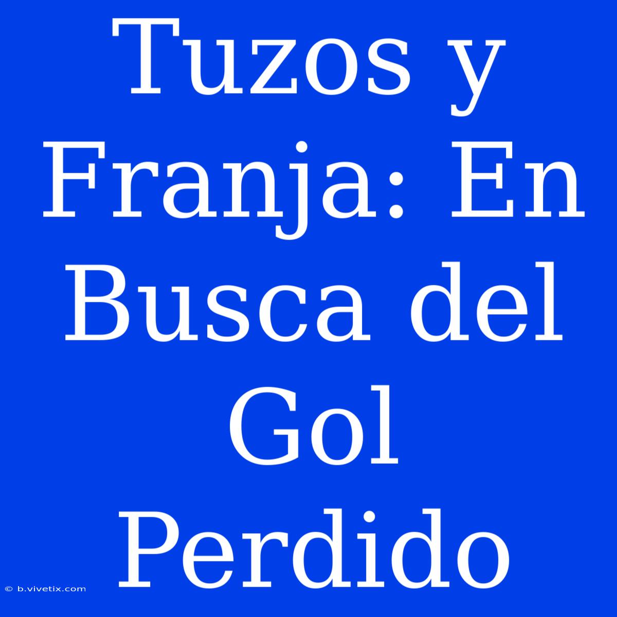 Tuzos Y Franja: En Busca Del Gol Perdido