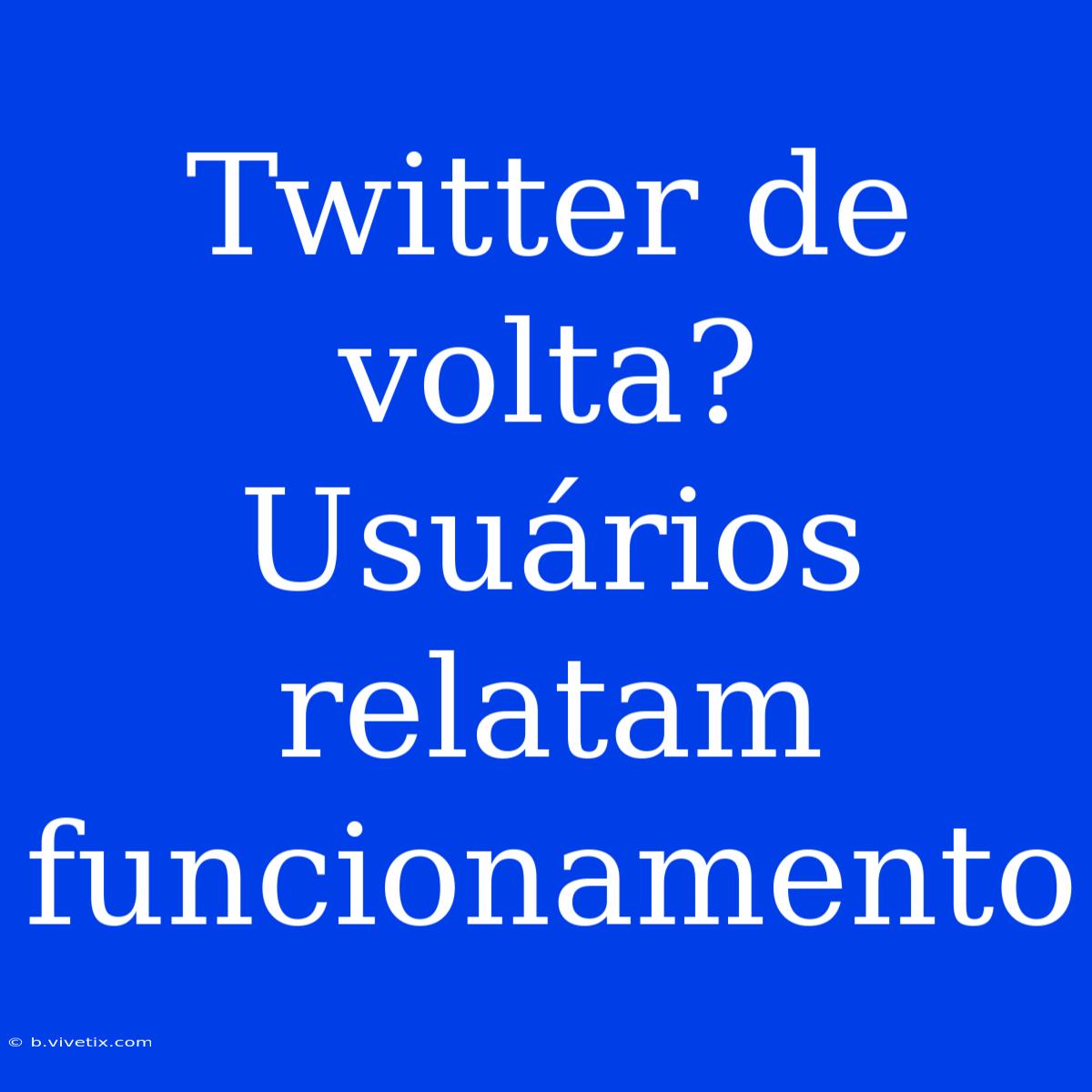 Twitter De Volta? Usuários Relatam Funcionamento