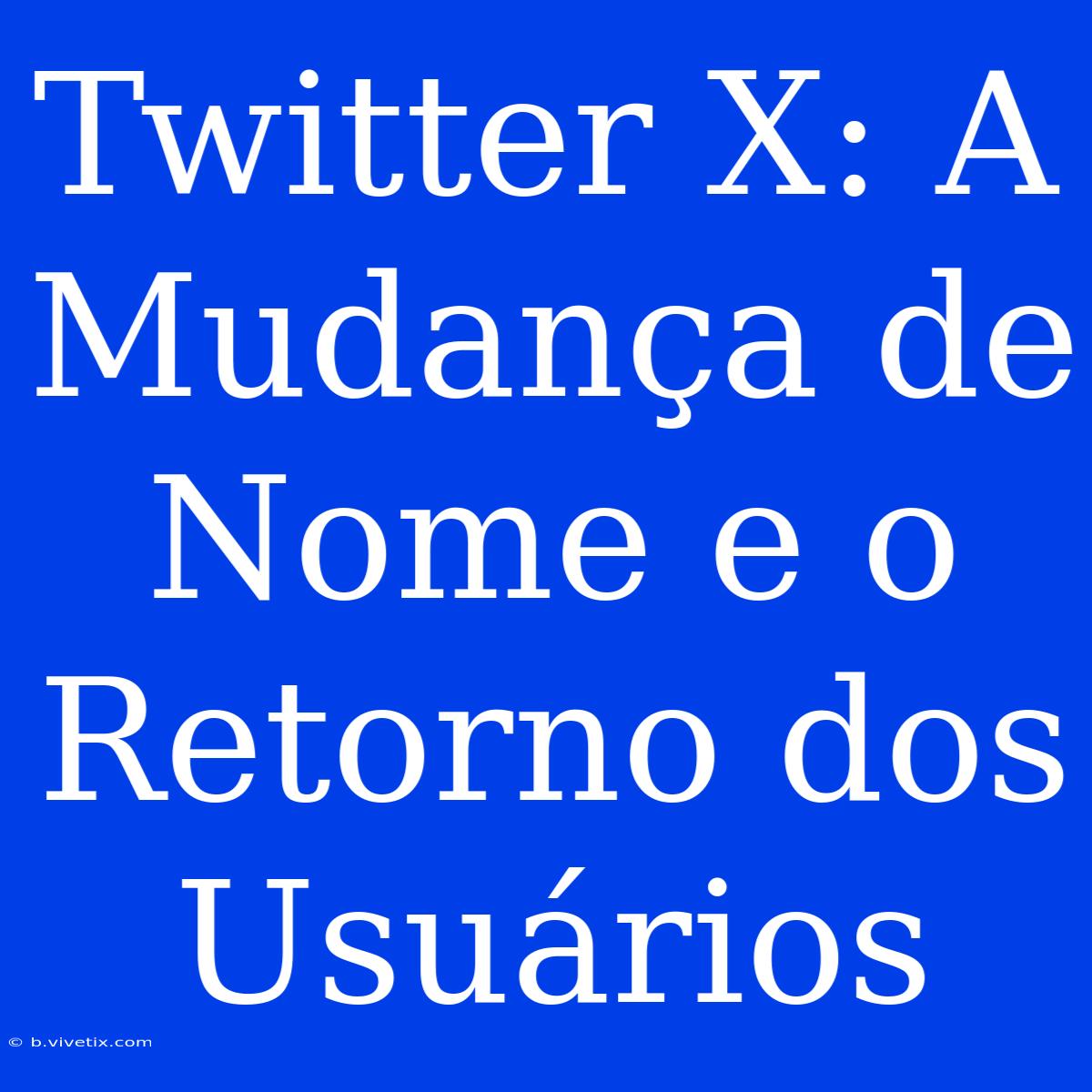 Twitter X: A Mudança De Nome E O Retorno Dos Usuários