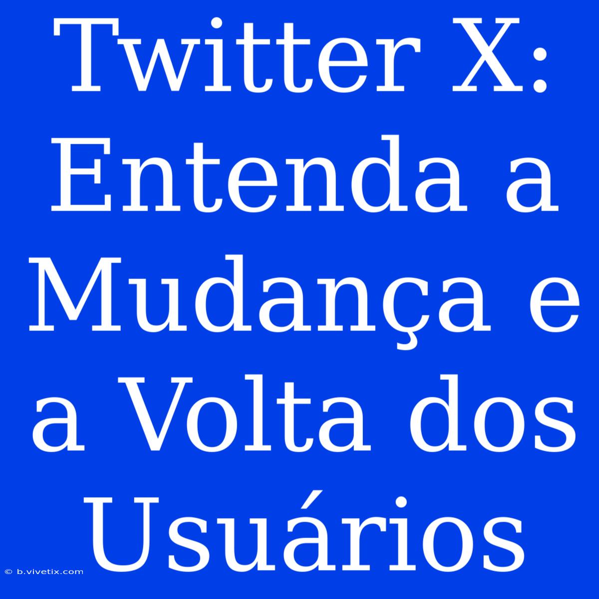 Twitter X: Entenda A Mudança E A Volta Dos Usuários