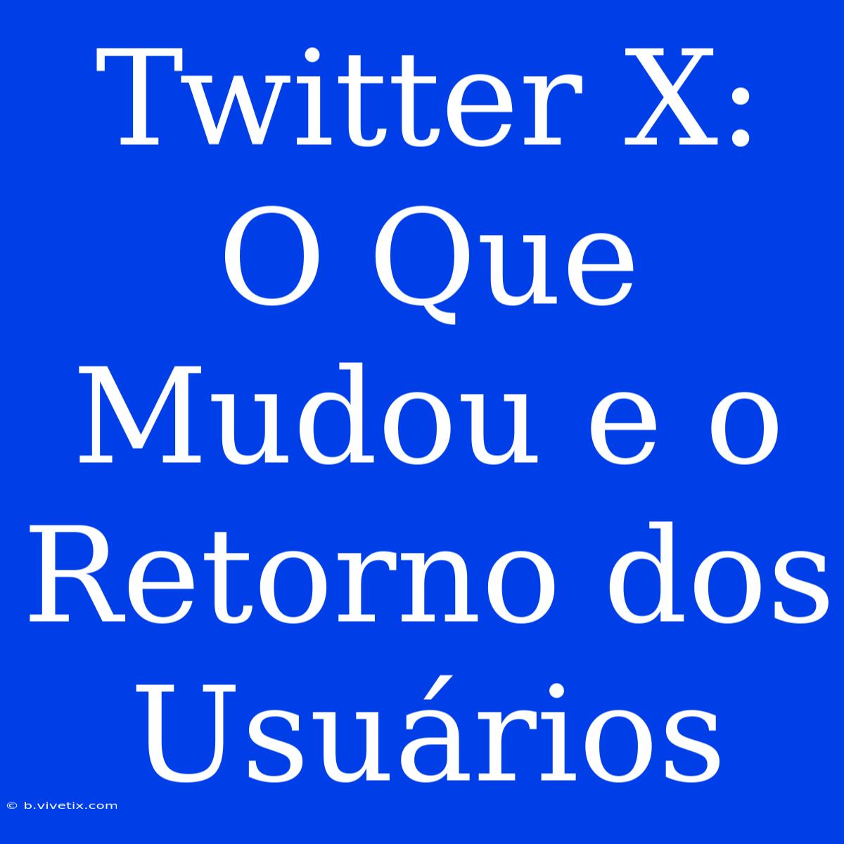 Twitter X: O Que Mudou E O Retorno Dos Usuários