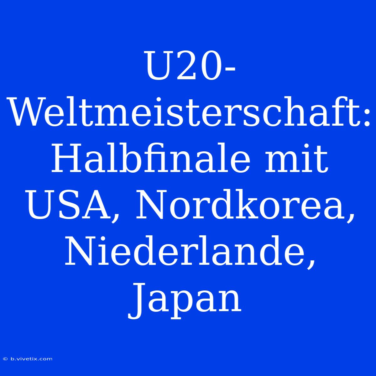 U20-Weltmeisterschaft: Halbfinale Mit USA, Nordkorea, Niederlande, Japan