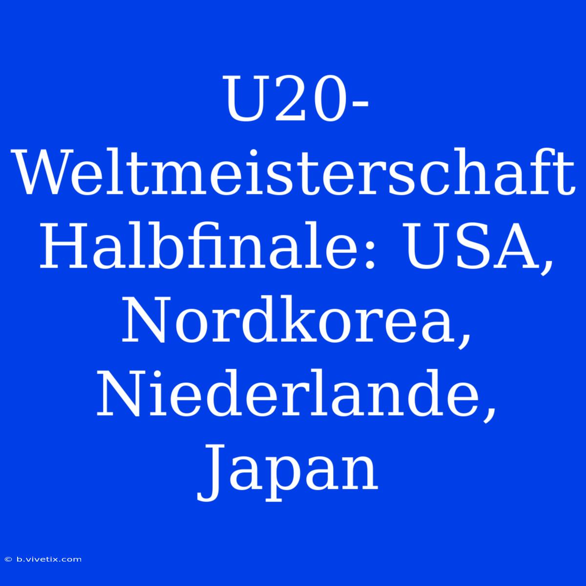 U20-Weltmeisterschaft Halbfinale: USA, Nordkorea, Niederlande, Japan