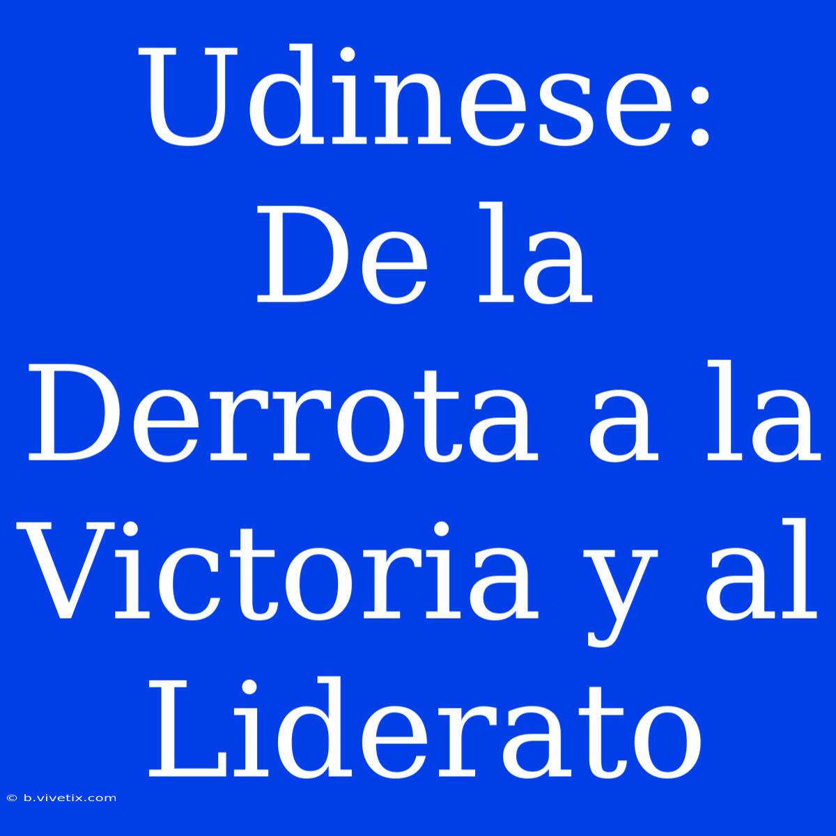 Udinese: De La Derrota A La Victoria Y Al Liderato