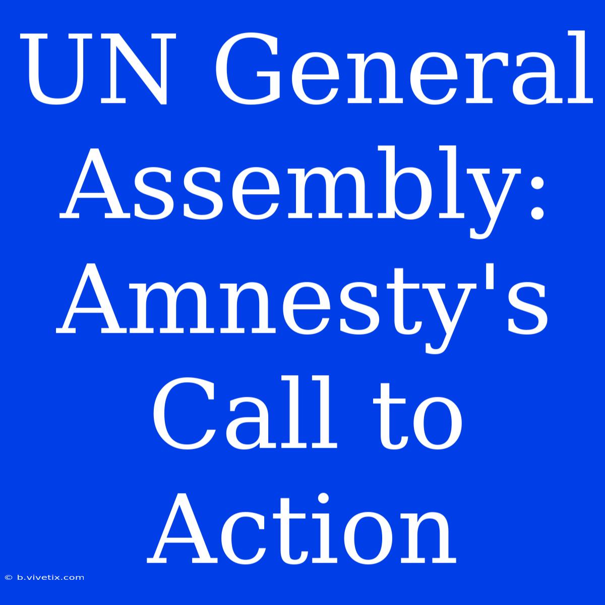 UN General Assembly: Amnesty's Call To Action