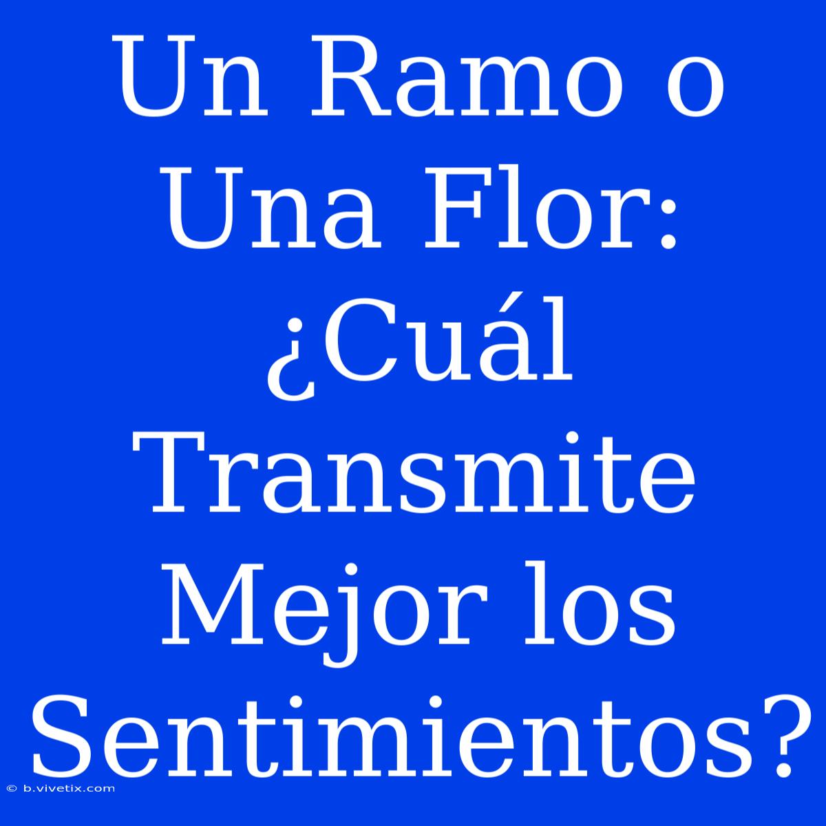 Un Ramo O Una Flor: ¿Cuál Transmite Mejor Los Sentimientos?