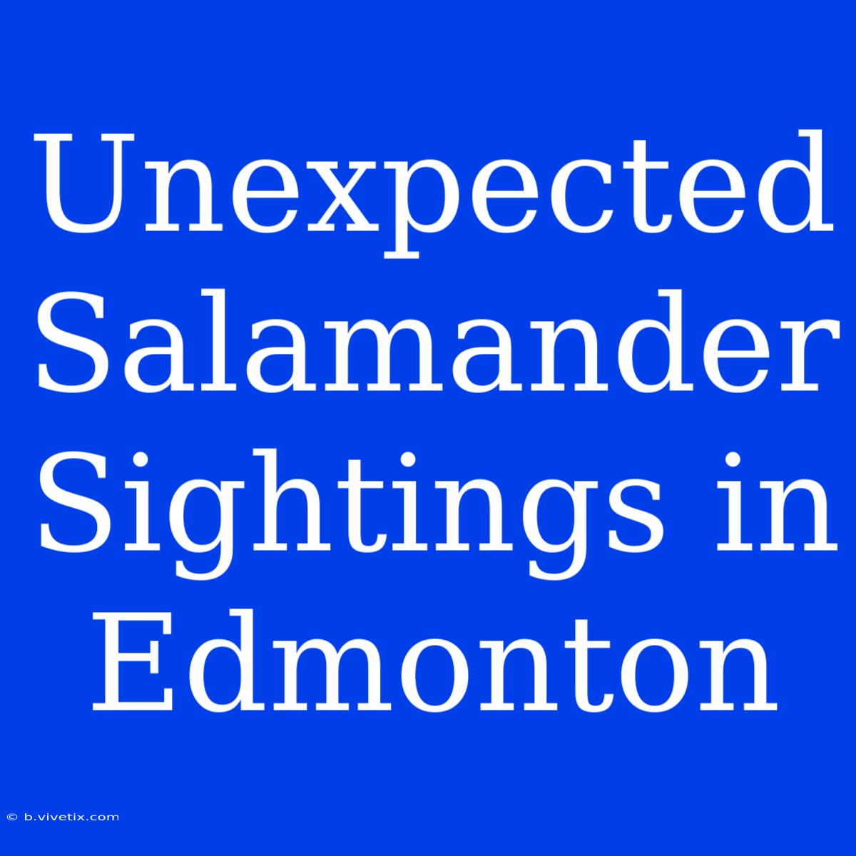 Unexpected Salamander Sightings In Edmonton