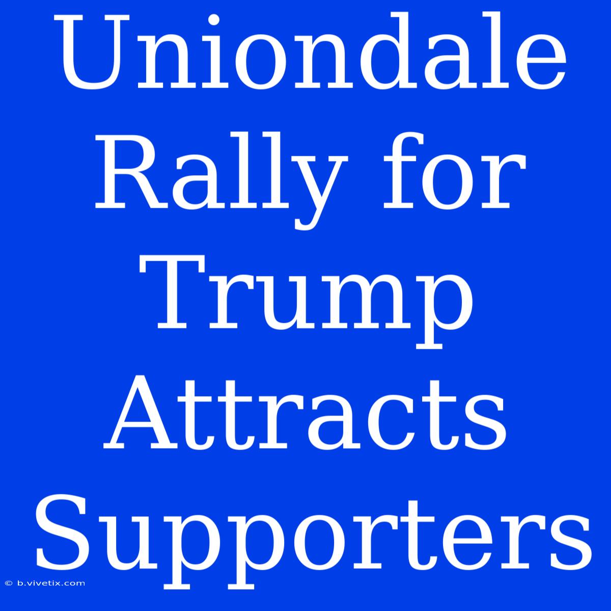 Uniondale Rally For Trump Attracts Supporters