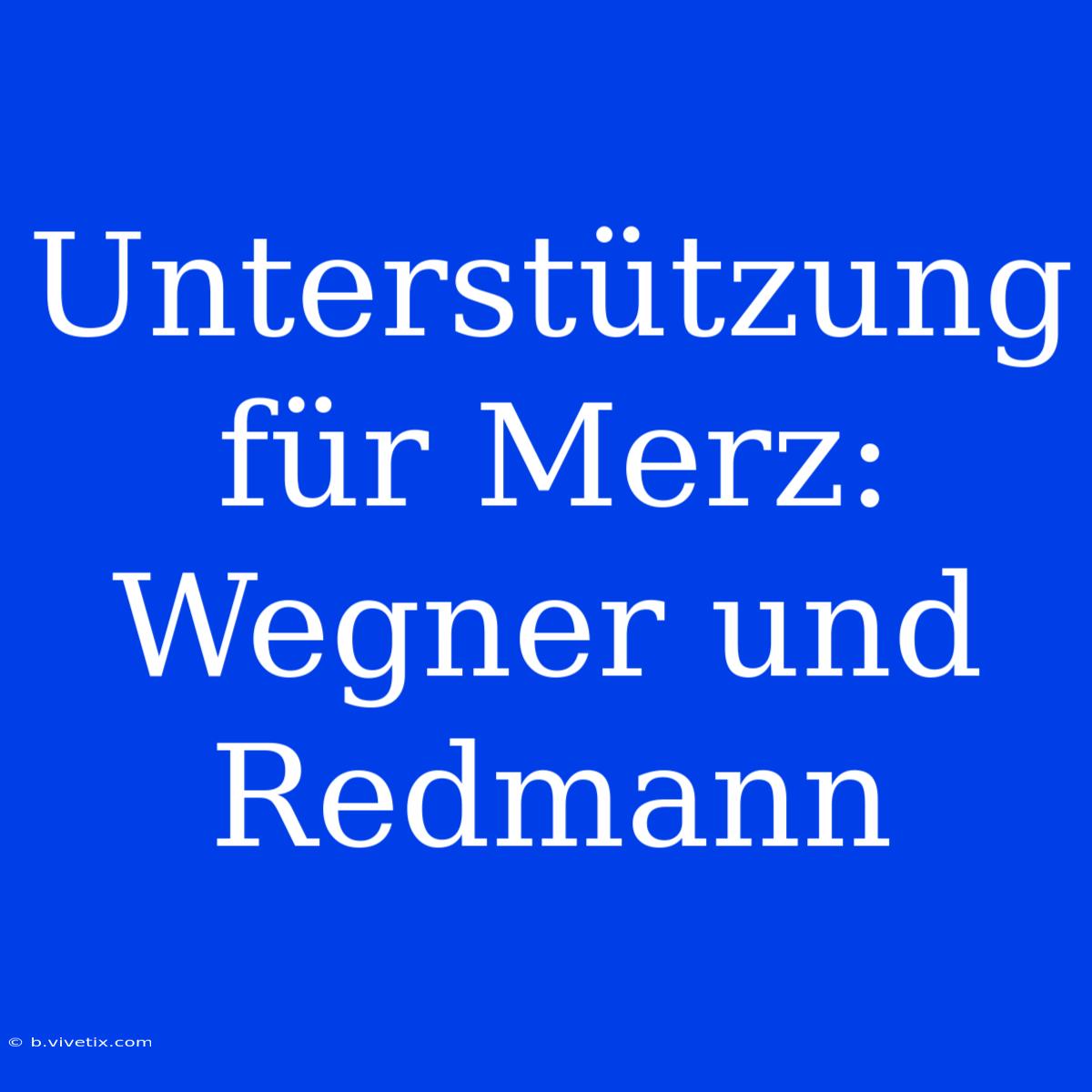 Unterstützung Für Merz: Wegner Und Redmann