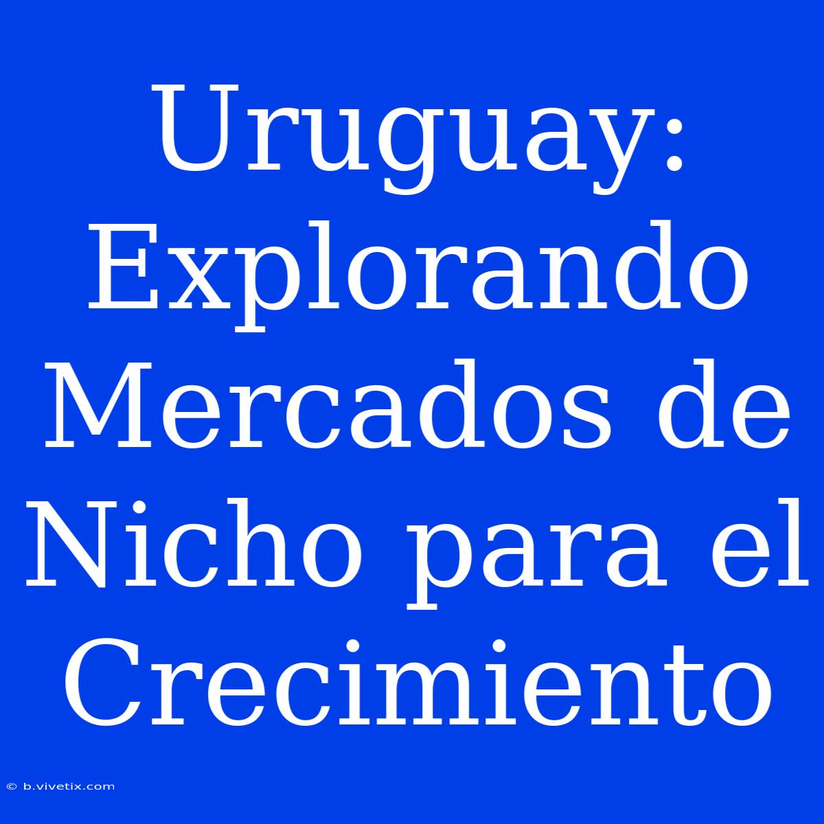 Uruguay: Explorando Mercados De Nicho Para El Crecimiento