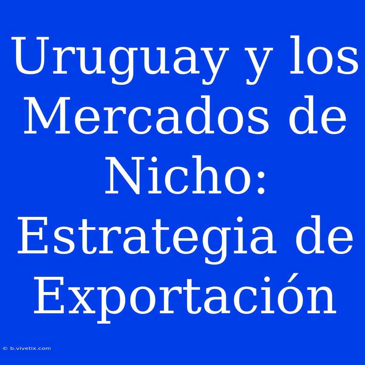 Uruguay Y Los Mercados De Nicho: Estrategia De Exportación