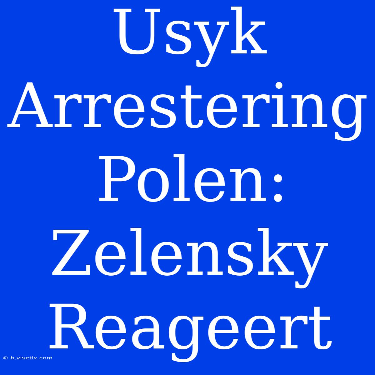 Usyk Arrestering Polen: Zelensky Reageert