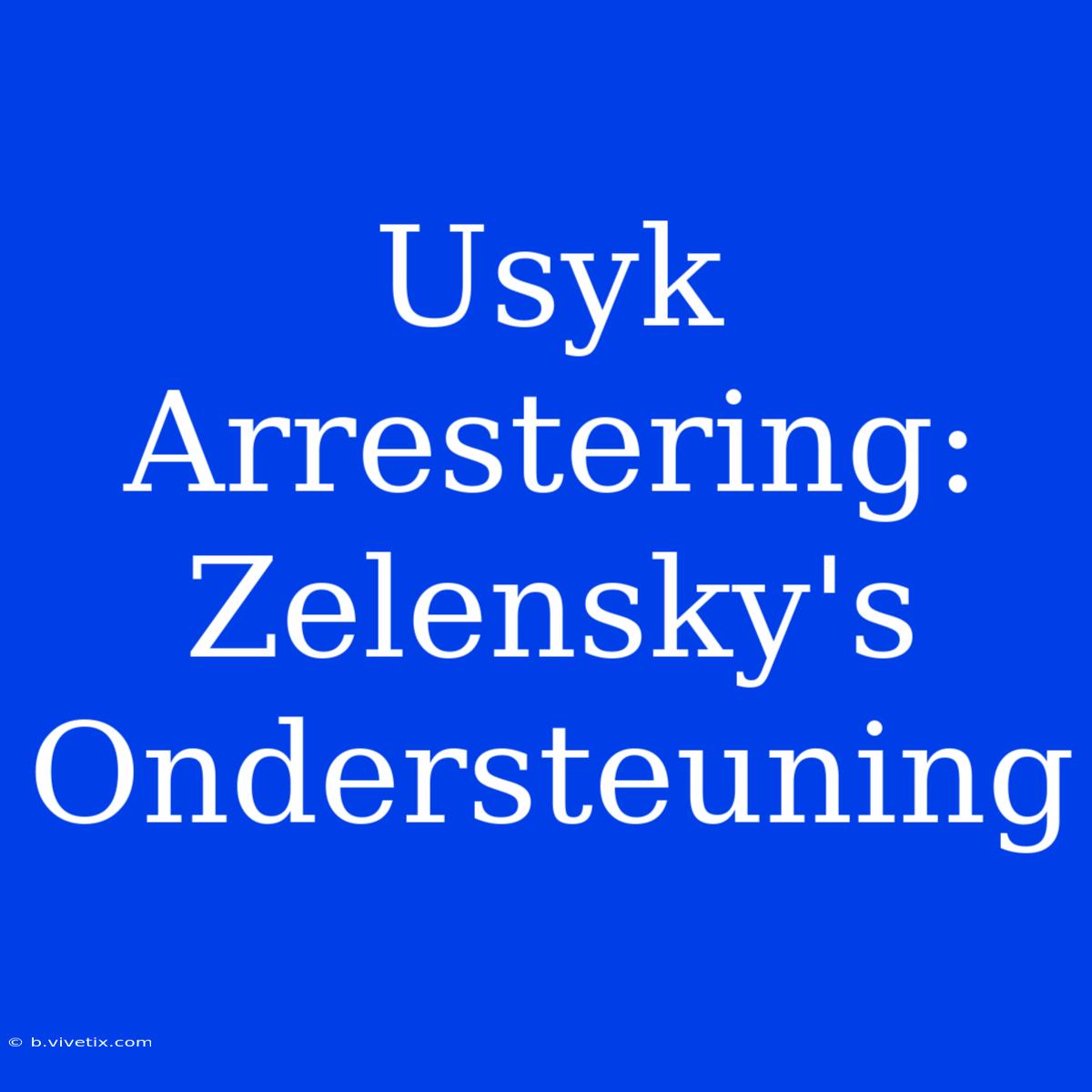 Usyk Arrestering: Zelensky's Ondersteuning 