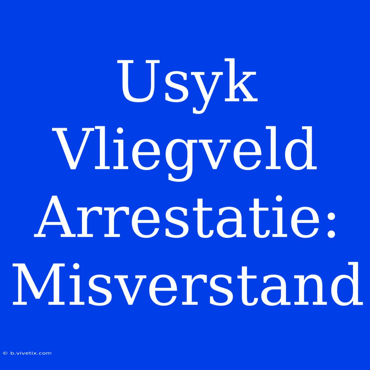 Usyk Vliegveld Arrestatie: Misverstand 