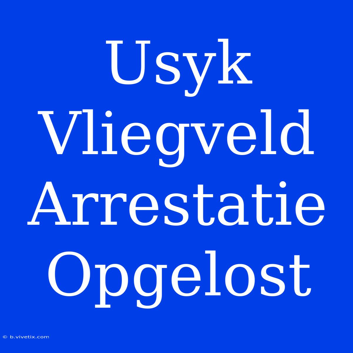 Usyk Vliegveld Arrestatie Opgelost