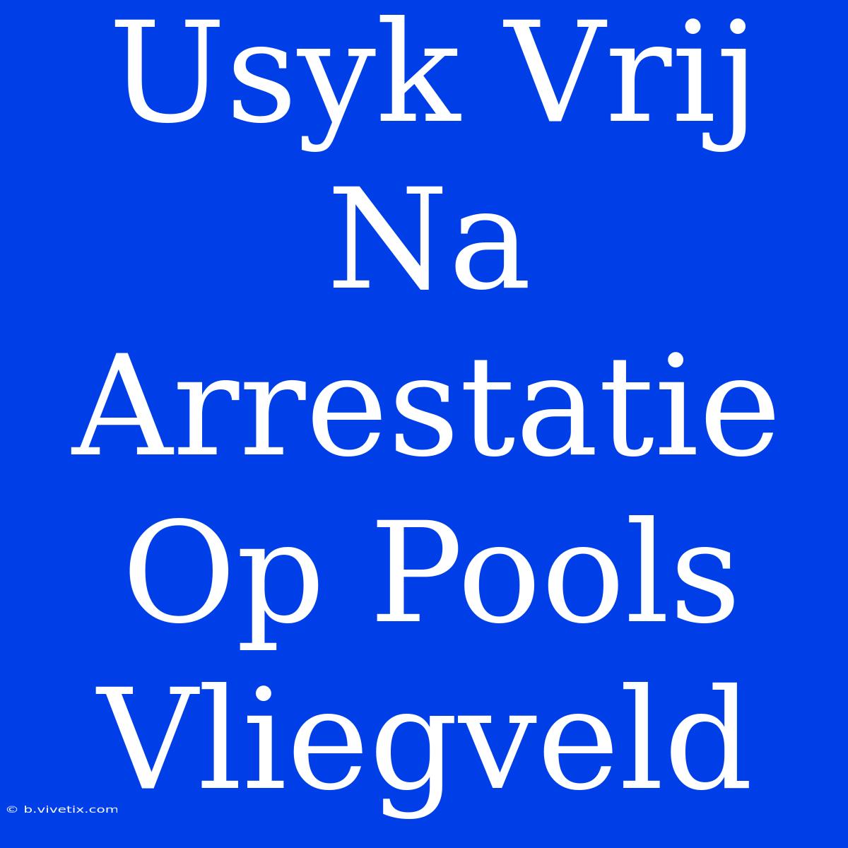 Usyk Vrij Na Arrestatie Op Pools Vliegveld