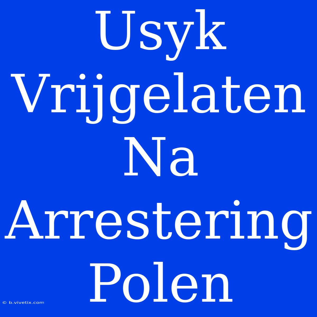 Usyk Vrijgelaten Na Arrestering Polen