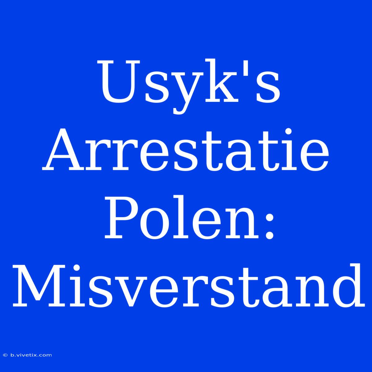 Usyk's Arrestatie Polen: Misverstand