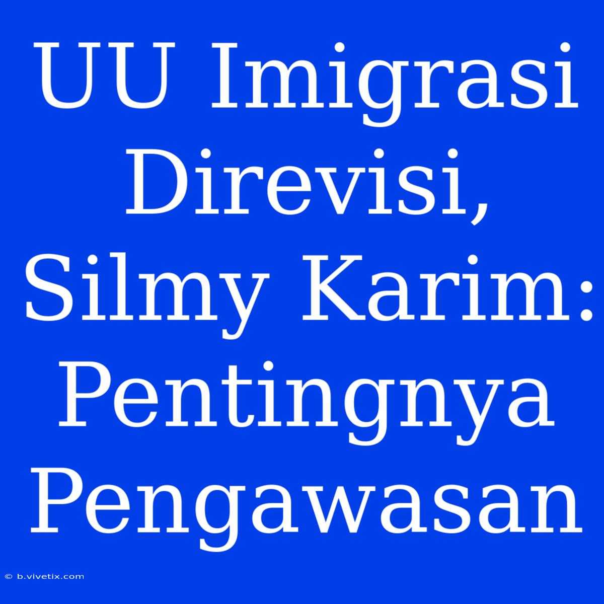 UU Imigrasi Direvisi, Silmy Karim: Pentingnya Pengawasan