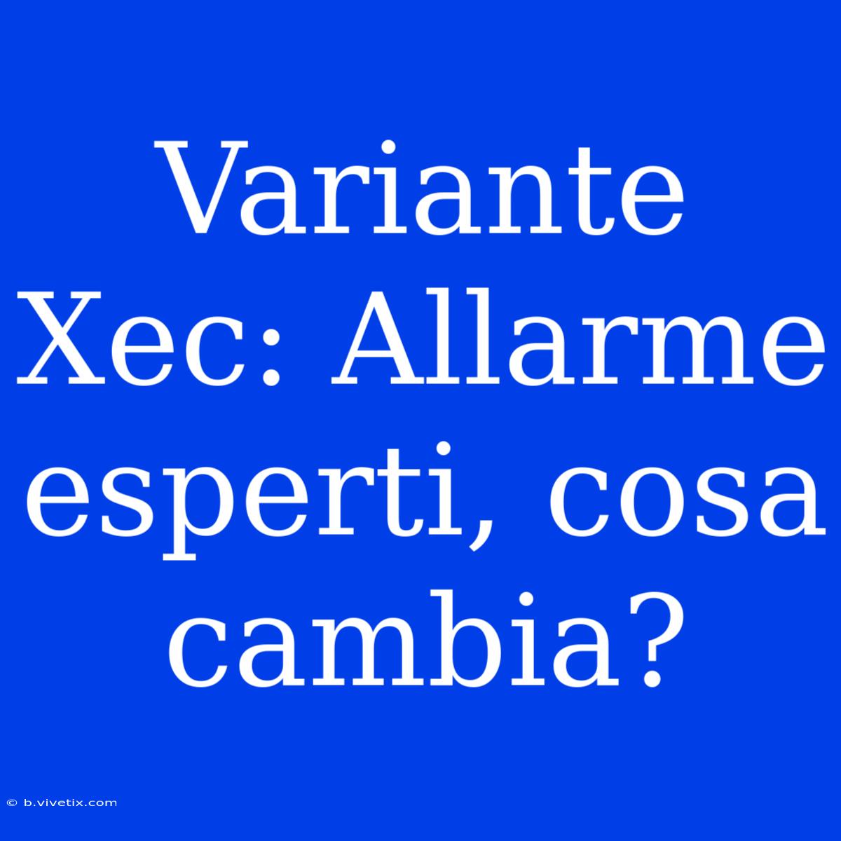 Variante Xec: Allarme Esperti, Cosa Cambia?