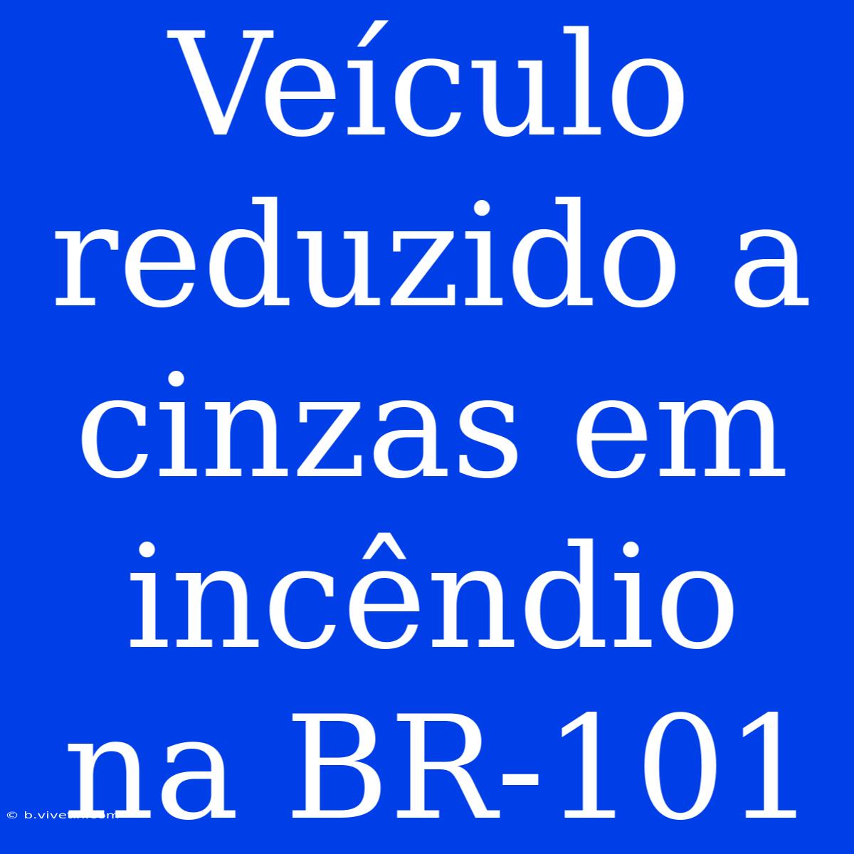 Veículo Reduzido A Cinzas Em Incêndio Na BR-101