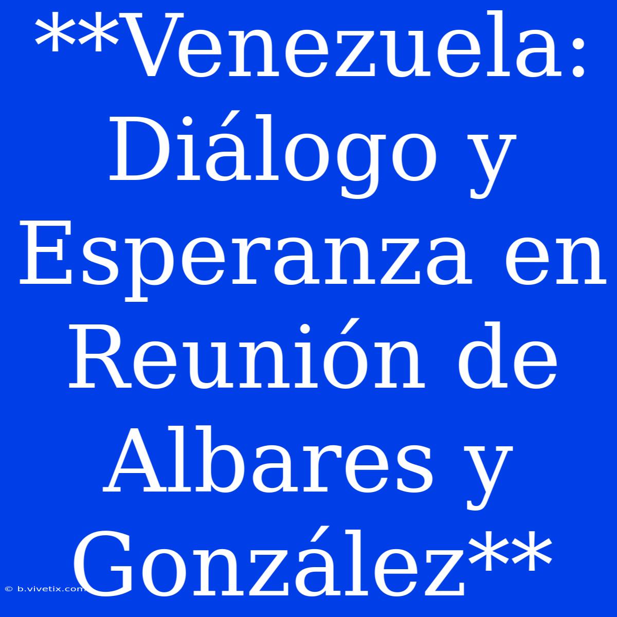 **Venezuela: Diálogo Y Esperanza En Reunión De Albares Y González**