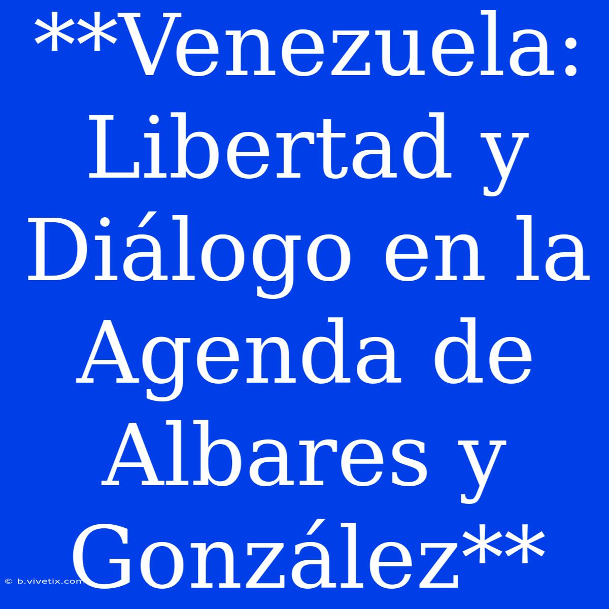 **Venezuela: Libertad Y Diálogo En La Agenda De Albares Y González** 