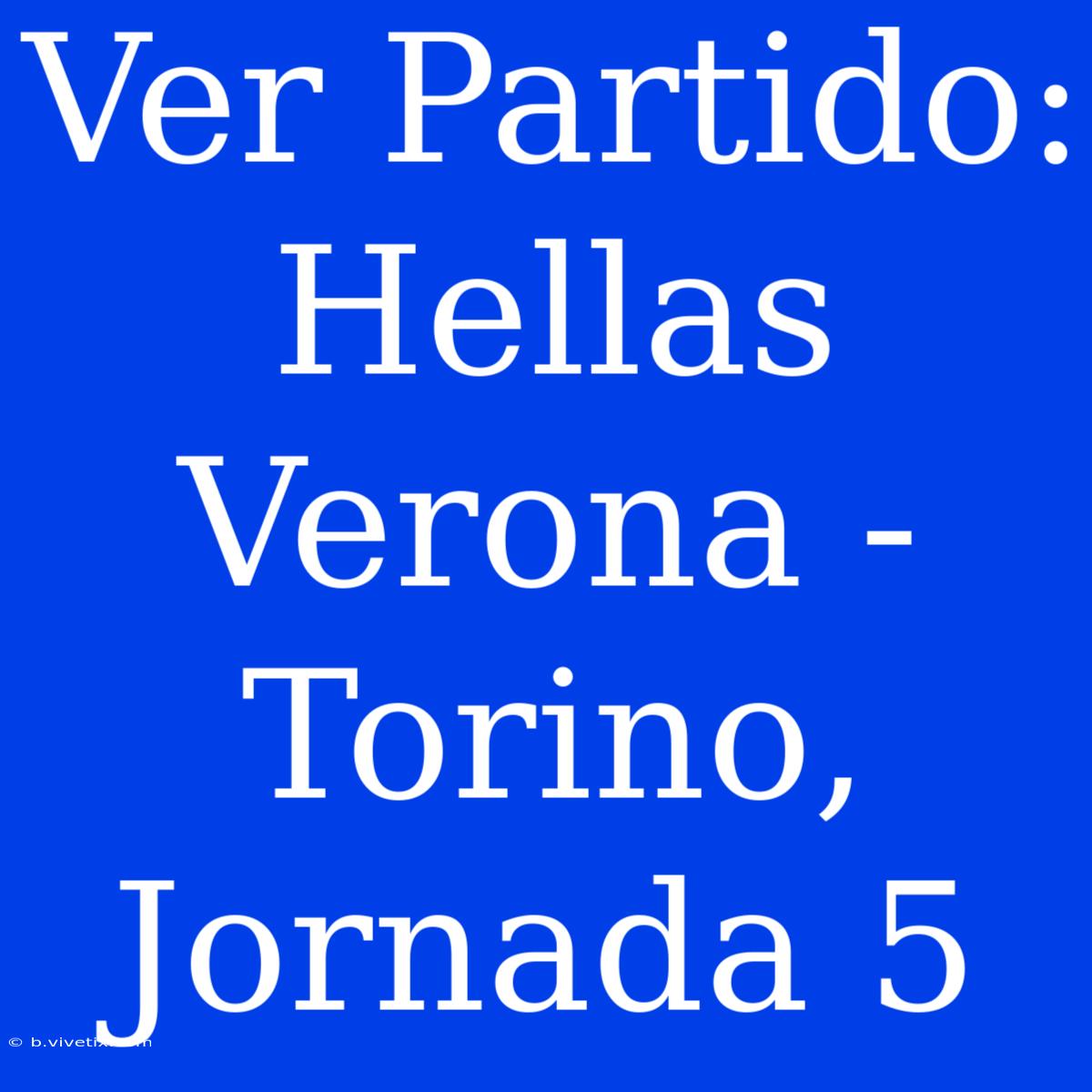 Ver Partido: Hellas Verona - Torino, Jornada 5